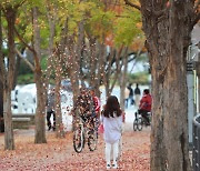 '아직은 단풍'