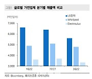 LG전자, 내년 실적성장 주목…업황부진 선반영 -메리츠