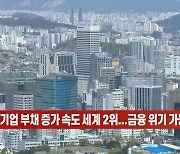 (영상)한국, 기업 부채 증가 속도 세계 2위...금융 위기 가능성↑