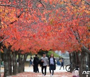 [오늘의 날씨] 대구·경북(31일, 월)…일교차 크고 낮 기온 18도 안팎