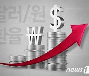 [달러/원] 환율 1.5원 오른 1423원 출발