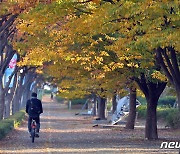 가을 길 따라