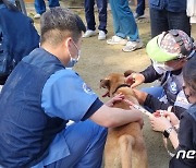 국경없는 수의사회, 올해 정기봉사 마무리…"보호소도 깨끗하게"