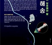 11월 이달의 해양생물에 가느다란 회초리 연상 '실해송' 선정