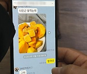 '아빠가 보내준 감 깎았어'