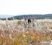 가을 여행