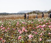 가을 오후