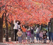 가을 산책