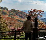 가을을 담아요