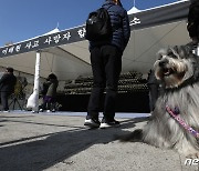 반려견과 함께 찾은 합동분향소