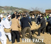 전남 동부권 대표 축제 이태원 참사로 취소, 축소, 연기 결정