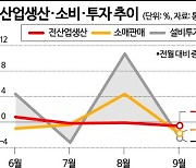 9월 생산 0.6%↓소비 1.8%↓투자 2.5%↓ '트리플 감소'(종합)