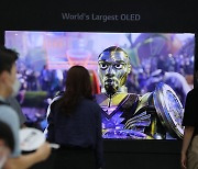 삼성·LG, OLED 동맹 다시 수면 위로… TV·패널 침체 돌파구 부상