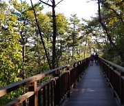 용봉산 내포사색길 걸으며 작품 보고 가세요