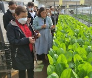 청양군, 농산물 온라인 마케팅 현장 견학 추진