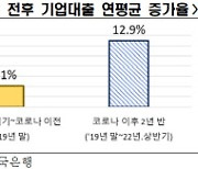 전경련 "기업 대출 늘어나는데 상환능력 떨어져…부실 경고등"