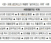 대한상의 "규제 샌드박스, 신사업에 기회의 장 제공"