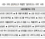 " '韓만 있는 규제 장벽'으로 불가능했던 사업 184건 샌드박스로 햇빛 봐"