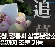 [영상] 강원도내 이태원 희생자 추모 발길 이어져…도청, 강릉시청 합동분향소 5일까지 운영