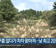 대전·세종·충남 구름 많다가 차차 맑아져…낮 최고 20도