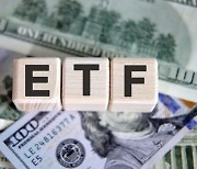 [단독] 6조원 시장 사라진다?…존폐 위기 처한 토탈리턴 ETF