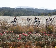 [내일 날씨] 중부지방 오후부터 맑음…큰 일교차 주의