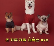 "반려견에 빨간 내복 선물하세요"...BYC, 반려견용 내복 출시