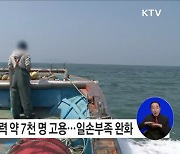 내년 어업분야 외국인력 약 2천200명 확대, 어촌 일손부족 완화