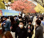 2022 문경사과축제 ‘성료’…38만명 방문·19억원 판매