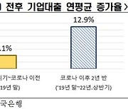 "기업대출 늘었는데 상환능력 악화…채무불이행 우려"