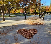 "소음·매연 없습니다"…낙엽 청소장비 충전식으로 교체