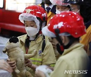 동물구조 체험하는 다문화가정 어린이