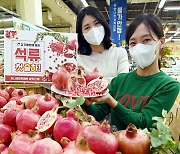 농협유통, 첫 출하된 빛깔 고운 석류로 환절기 건강 지키세요