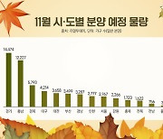 11월 전국서 6만가구 분양 예정···지난달 3배