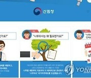 "수목 진료는 나무 의사가"…충남도 위법행위 계도·단속