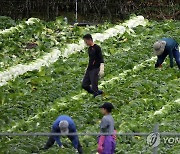 국내 거주 외국인 수 2년 연속 감소…한국국적 취득자는 늘어