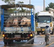 [서귀포소식] 가축전염병 차단 '남원거점소독센터' 가동