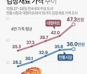 [그래픽] 김장재료 가격 추이