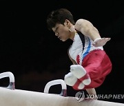 Britain World Gymnastics Championships