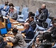 UN Security Council