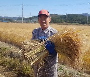 해남군, '가공용 쌀 용도별 재배' 쌀 소비 확대 나선다