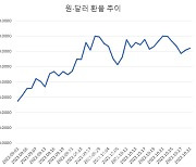 11월 환율 다시 오른다…킹달러 수혜주, 옥석가려라