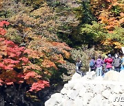 제주도 "가을철 쯔쯔가무시증 주의하세요"…10월 환자 4명 발생