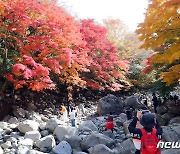 1일부터 제주 한라산에서 담배 피우면 과태료 60만원