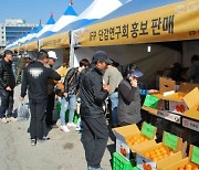 진영단감축제도 공연·불꽃놀이 취소 … 이태원 참사 애도 동참, 진행 규모 축소