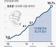 유로존 10월 물가 10.7% 상승…12개월 연속 최고치 경신