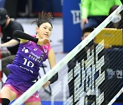 '흥국생명 김연경 vs 현대건설 양효진' 티켓 판매 97%…현대건설 3-1 승리