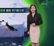 [지구촌 날씨] 남극 황제펭귄, 온난화로 멸종위기종으로