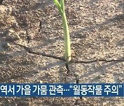 제주 전역서 가을 가뭄 관측…“월동작물 주의”