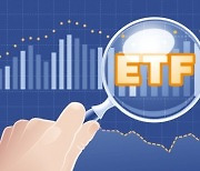 헤지펀드 전략 베낀 美 ETF, 변동성 장세에도 '수익률 좋네'